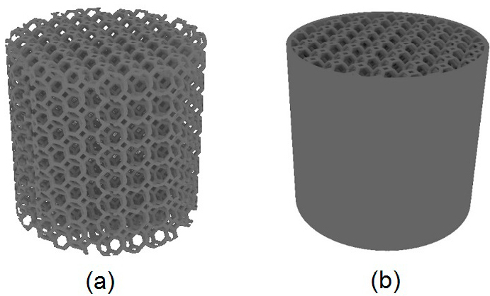C:\Users\PRINCIPAL\Google Drive\UNAL\TESIS\Articulo01\Espuma conysin piel.jpg