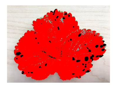 Graphical user interface

Description automatically generated